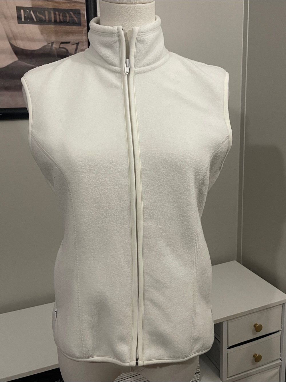 Gap Sweater Vest (S)